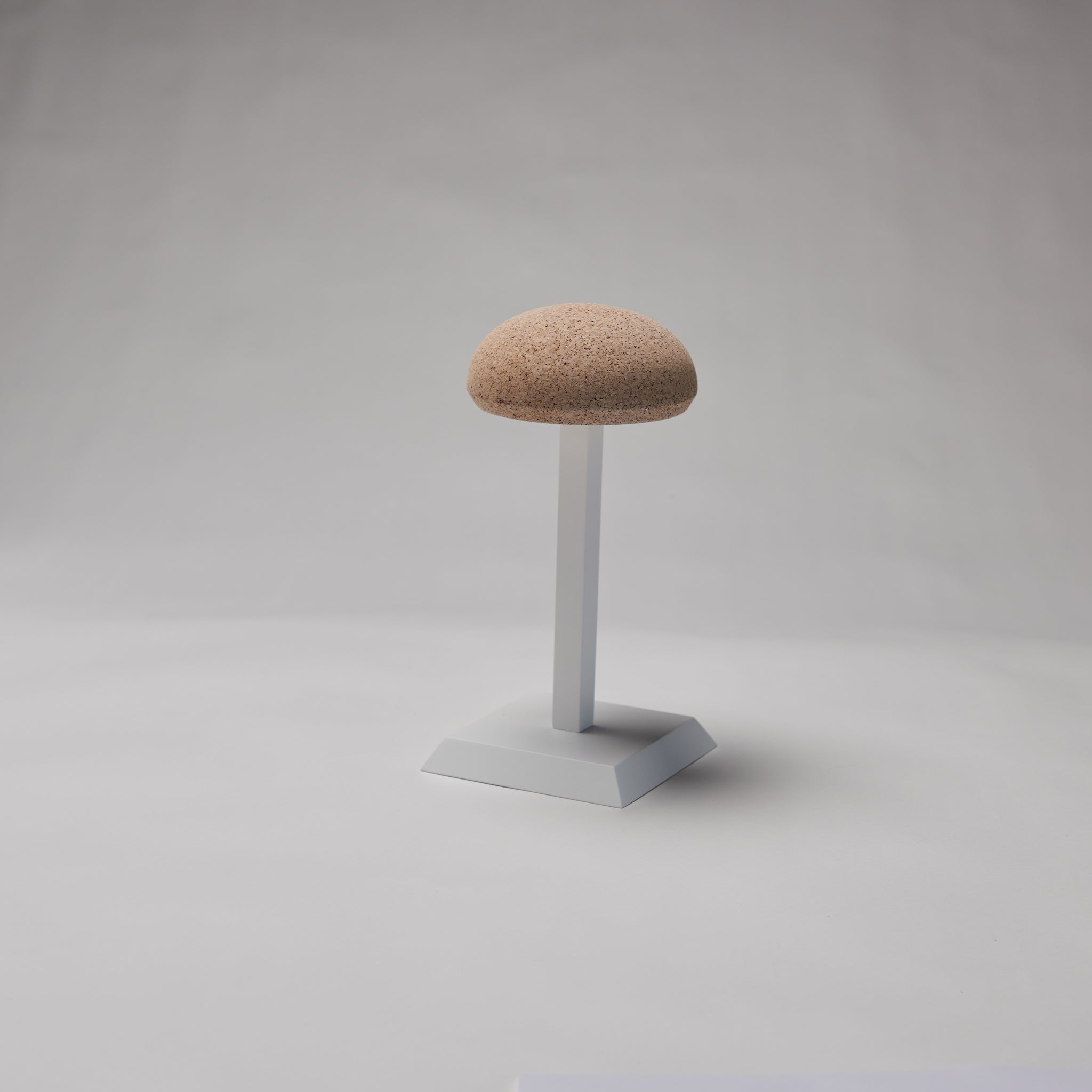 HAT DISPLAY STAND