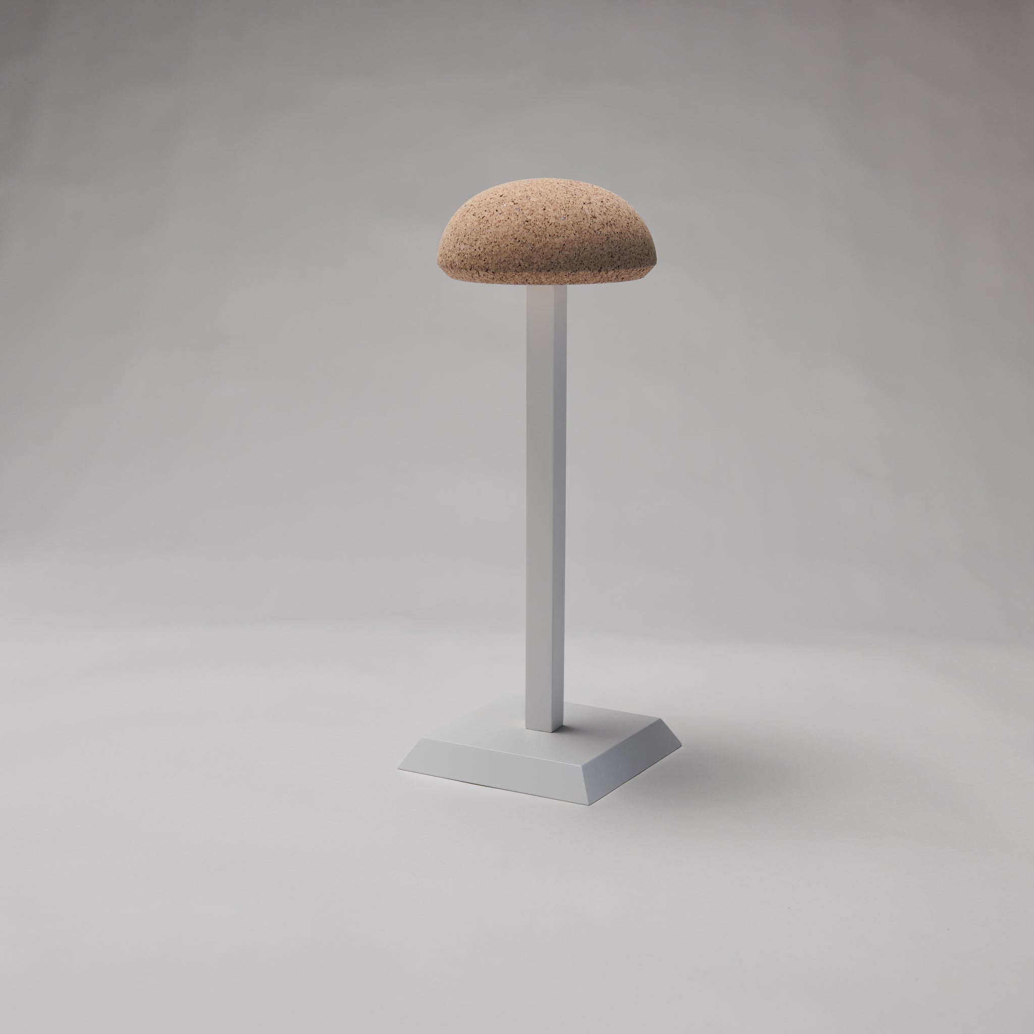 HAT DISPLAY STAND